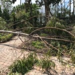 Irma Cleanup