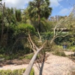 Irma Cleanup