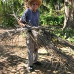 Hurricane Irma cleanup