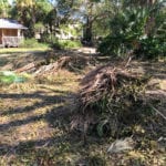 Irma Cleanup