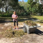 Irma cleanup