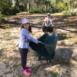 Hurricane Irma Cleanup