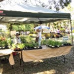 Garden Festival Vendors