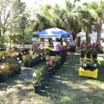 Garden Festival Vendors