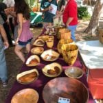 Garden Festival Vendors