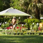 Garden Festival Vendors