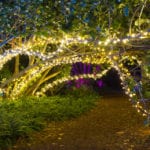 Heathcote's Garden of Lights