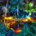 Heathcote's Garden of Lights