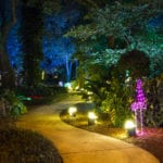 Heathcote's Garden of Lights