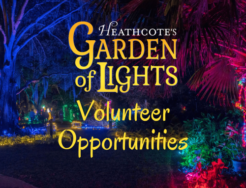 Garden of Lights Volunteer Opportunities