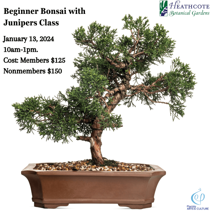 Bonsai with Junipers class January 13, 2024