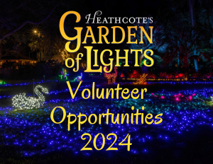 Volunteer at Garden of Lights 2024