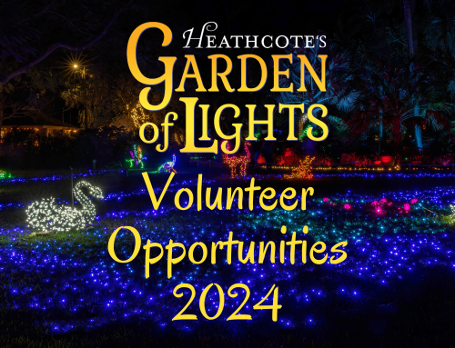 Garden of Lights Volunteer Opportunities