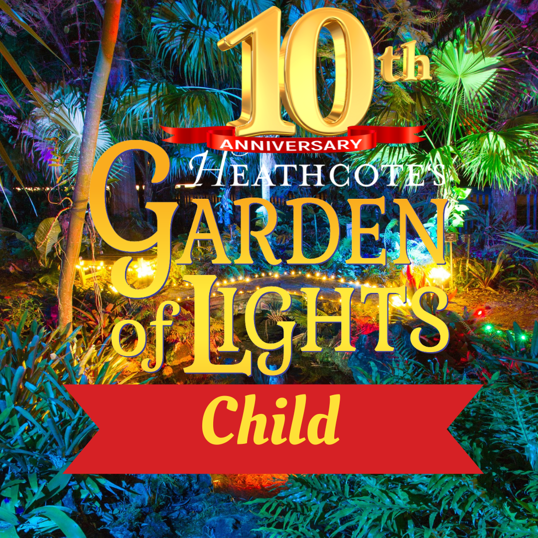 Child Garden of Lights ticket 2024