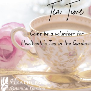 Volunteer at Tea in the Gardens 2024