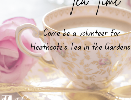 Volunteer at Heathcote’s Tea in the Garden’s