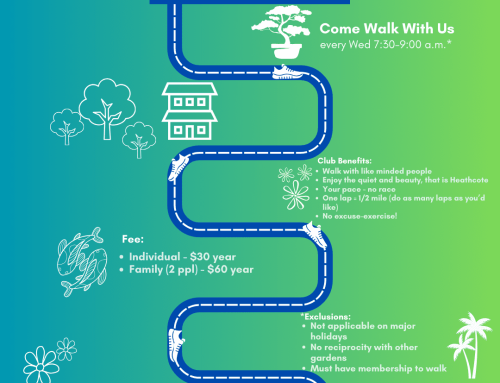 Come Walk With Us: Introducing Grow Getters at Heathcote Botanical Gardens