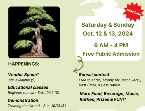 Bonsai Expo! October 12 & 13, 2024