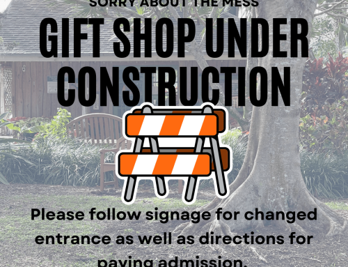 Gift Shop Under Construction