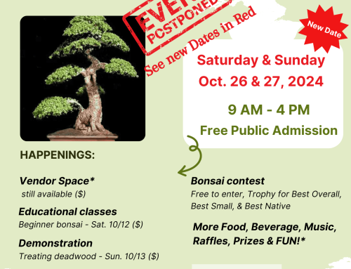 Bonsai Expo at our Fall Garden Festival!