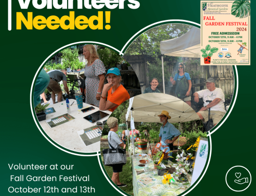 Be a Volunteer at our Fall Garden Festival