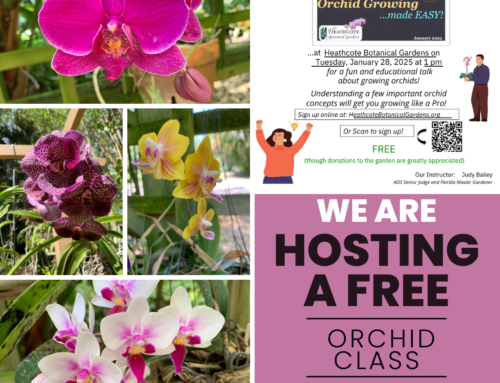 Orchid class