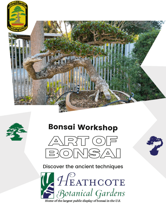 Image of an upright Heathcote Bonsai with the James J Smith logo promoting Heathcote's free workshop