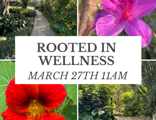 Rooted In Wellness