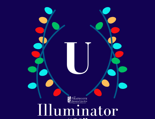 Illuminator U