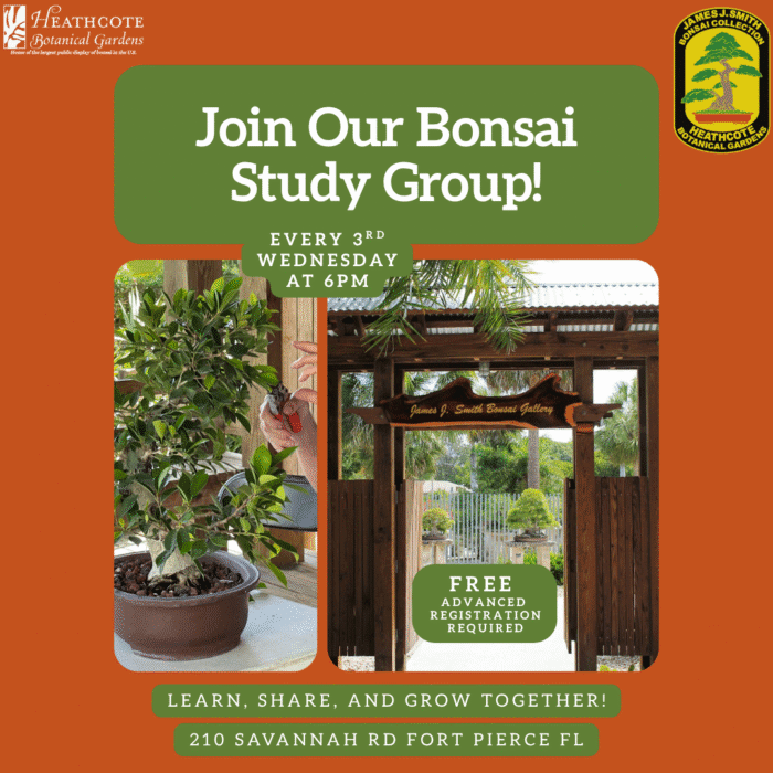 Heathcote's Bonsai Study Group attendee registration