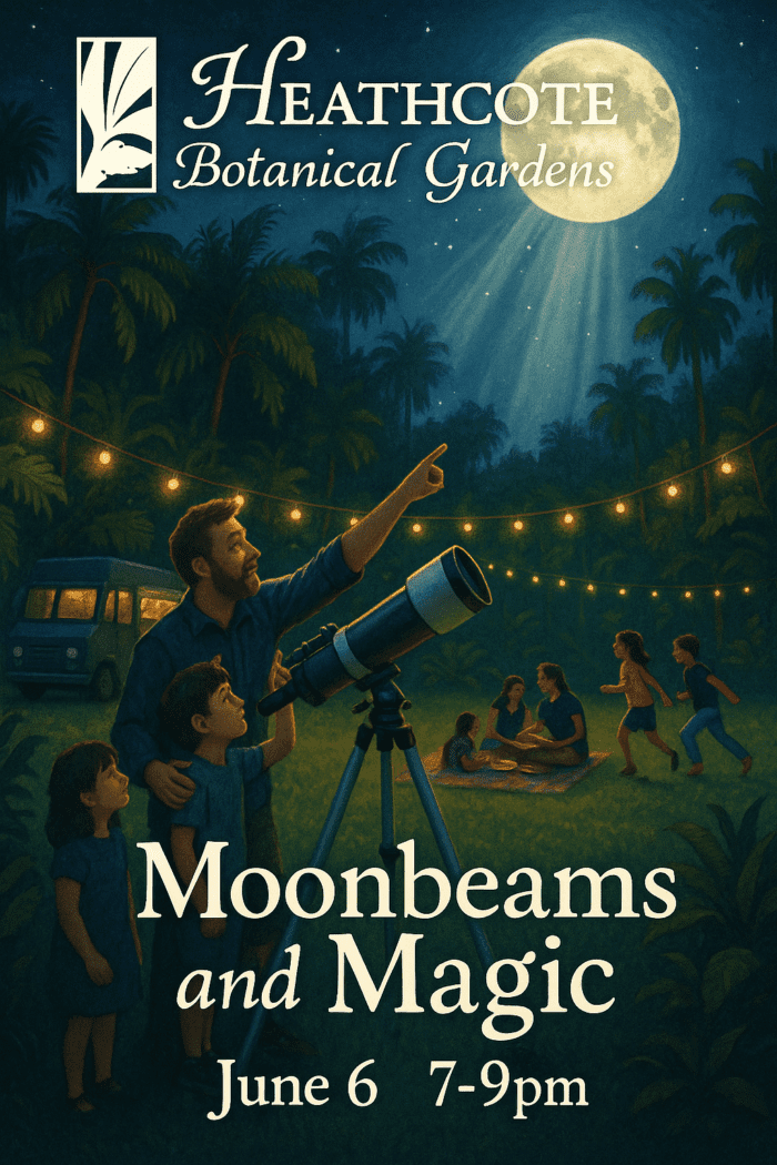Moonbeams and Magic