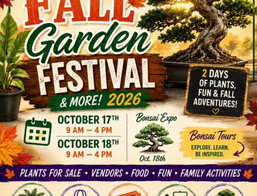 Fall Garden Festival
