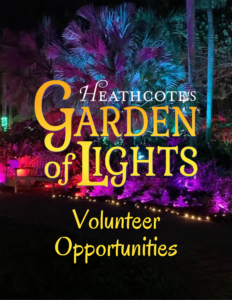 Garden of Lights volunteer needed for Heathcote's garden of lights image of one of the light displays with vibrant purples highlighting the plants