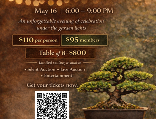 Heathcote’s Bonsai Bash