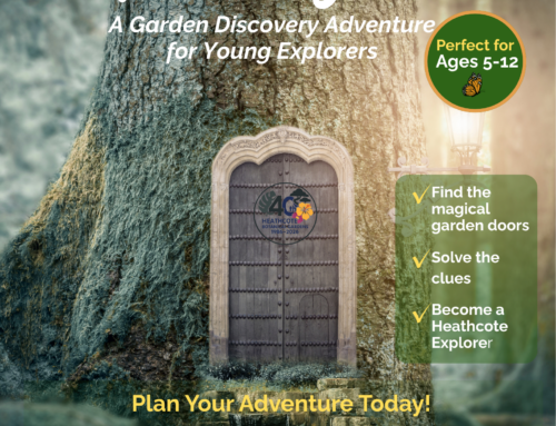 Wonder Doors at Heathcote