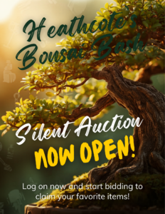 image of bonsai tree with Heathcote's Bonsai Bash Silent Auction is now open