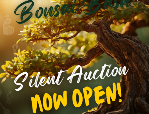 Heathcote’s Bonsai Bash Silent Auction