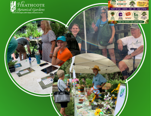 Be a Volunteer at our Fall Garden Festival