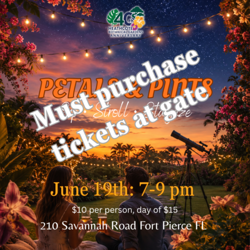 purchase tickets at gate