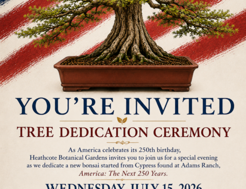 America: The Next 250 Years Bonsai Dedication at Heathcote