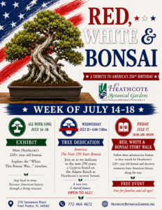 A 220-year-old bonsai tree displayed during Red, White & Bonsai Week at Heathcote Botanical Gardens celebrating America's 250th Birthday in Fort Pierce, Florida