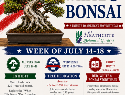 Celebrate America’s 250th Birthday at Heathcote Botanical Gardens: Red, White & Bonsai Week | July 14–18, 2026