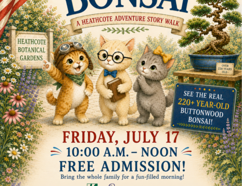 Story Walk at Heathcote Botanical Gardens | Free Family Event in Fort Pierce