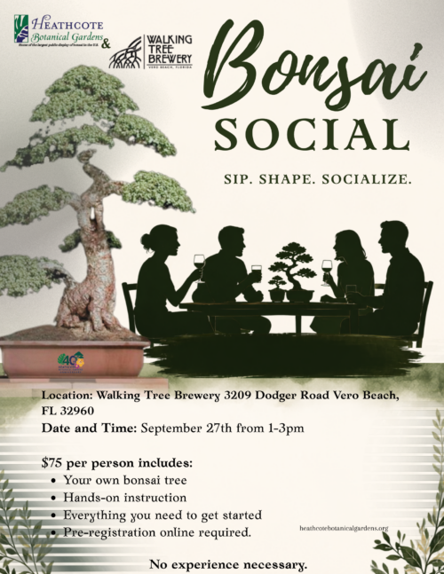 Heathcote Bonsai social at Walking tree