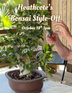 Heathcote Botanical Gardens Bonsai Style-off October 18th at 1pm