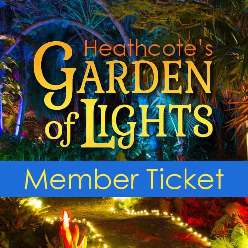 Garden of lights Member Ticket