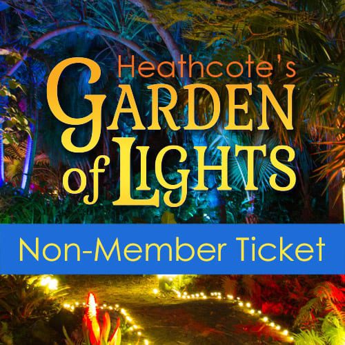 Garden of Lights Non-Member Ticket