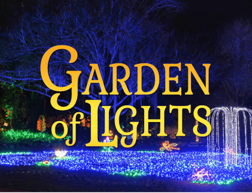 Garden of Lights 2021