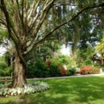 The main lawn in afternoon sun.